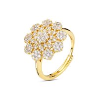 Ring Bottega Boccadamo Woman in Silver Zircone BAN092D